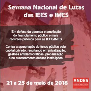 Em todo país, IEES e IMES  seguem o calendário de lutas do ANDES-SN.